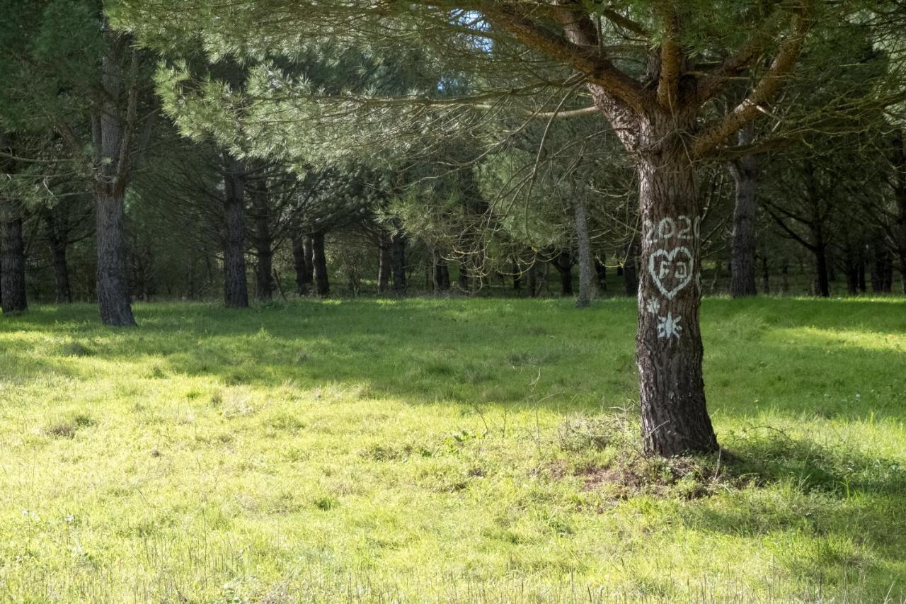 Doma Portugal Mafra Dış mekan fotoğraf
